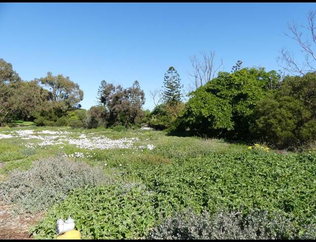 LAND FOR SALE IN SHELLEY POINT